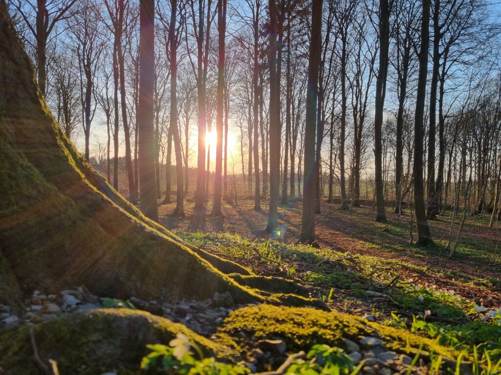 Healing power of Nature,